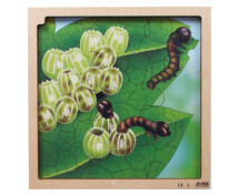 Vrstvové puzzle - Životní cyklus motýla