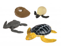 Životný cyklus - Mořská želva