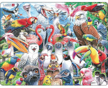 Puzzle - Ptáci světa