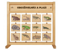 Stolní tabulka poznání - Obojživelníci a plazi SK