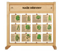 Stolní tabulka poznání - Naše dřeviny CZ