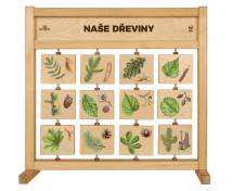 Stolní tabulka poznání - Naše dřeviny SK