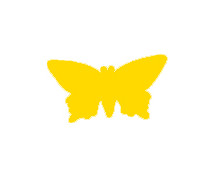 Děrovače Motýl