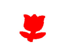 Děrovače Tulipán