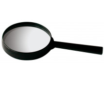 Lupa