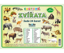 Procvičovací karty - Zvířata - exotická