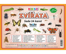 Procvičovací karty - Zvířata - hmyz