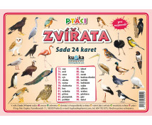 Procvičovací karty - Zvířata - ptáci