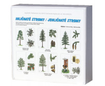Jehličnaté stromy