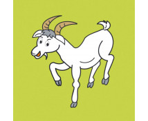 Kapsy na boty s motivem - kozička