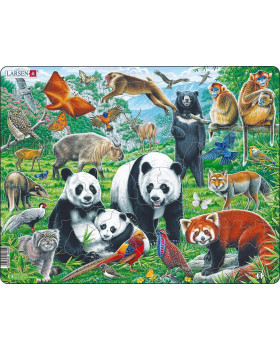 Puzzle - Zvířata v Asii