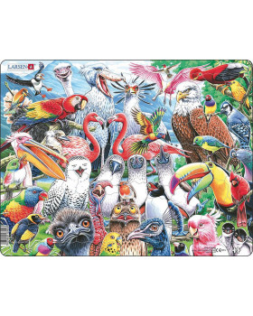 Puzzle - Ptáci světa