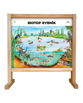 Stolní biotop s magnety - Rybník SK