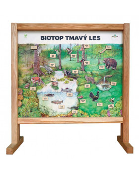 Stolní biotop s magnety - Tmavý les CZ