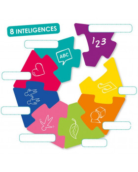 Poznávaní - Vícenásobná inteligence