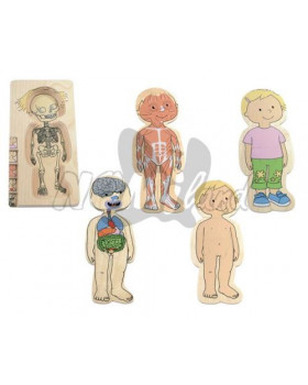 Děvče puzzle vícevr.