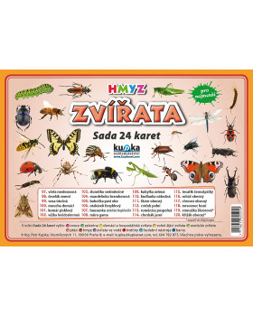 Procvičovací karty - Zvířata - hmyz