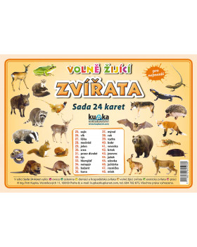 Procvičovací karty - Zvířata - volně žijící