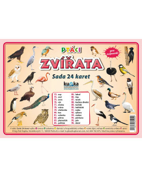 Procvičovací karty - Zvířata - ptáci