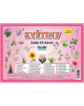 Procvičovací karty - Květiny
