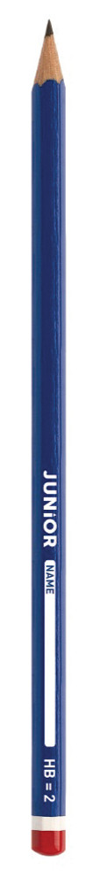 ai00014-01.jpg