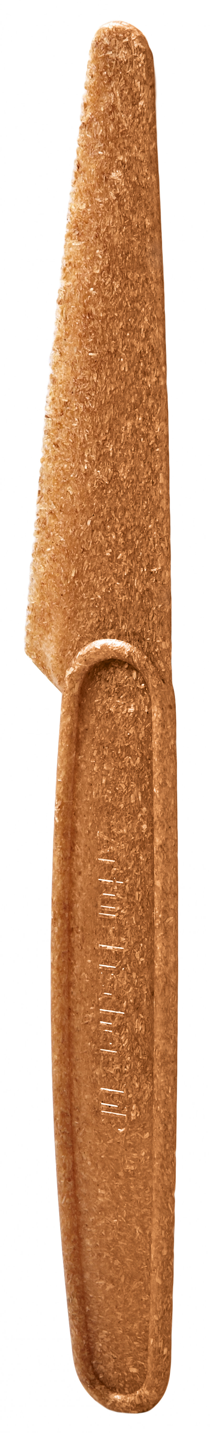 fi533784-05.jpg