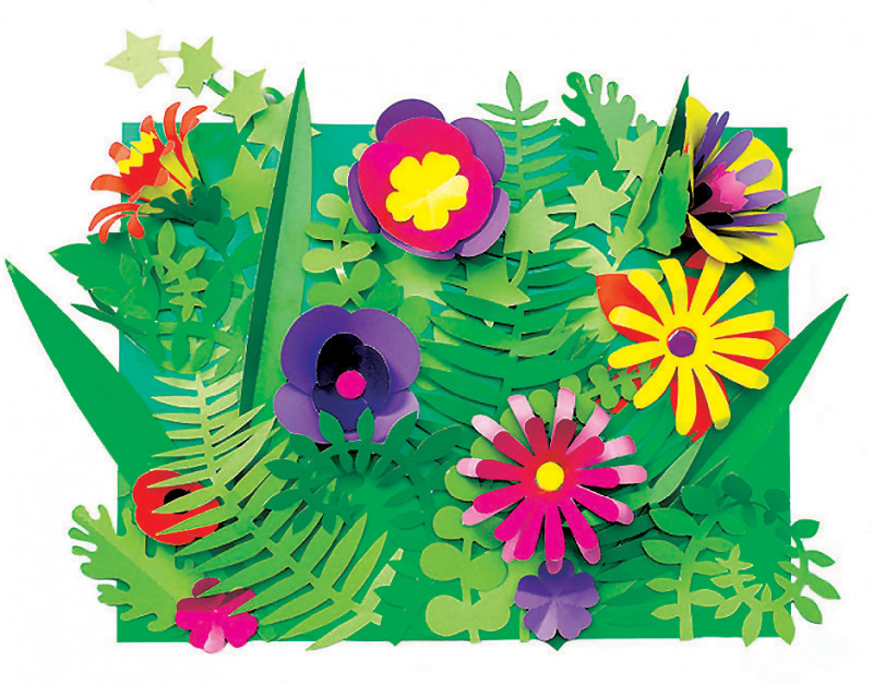 15333-botanical-cuts-x.jpg
