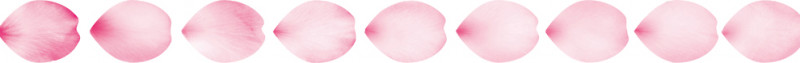 fl26501-02.jpg